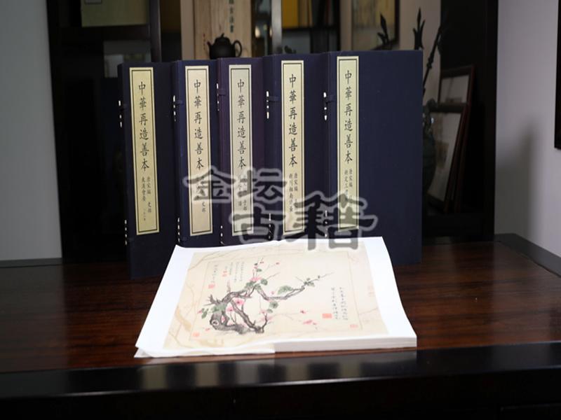  China Re-created Rare Books